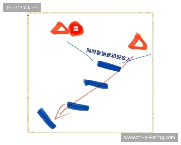 成都飞盘队区域防守创新策略解析与战术演变探讨